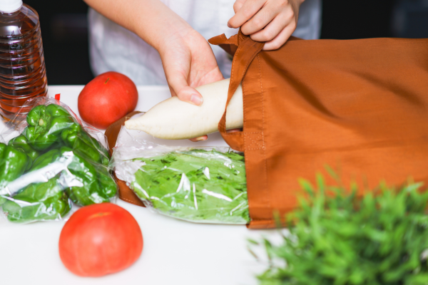 Como Fazer uma Bolsa de Passeio Ecológica a Partir de Materiais Reciclados